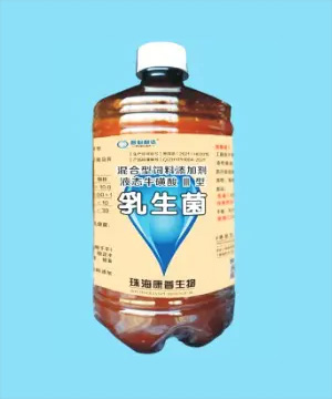 <b>乳生菌</b>