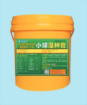 <b>小球藻种膏</b>